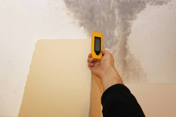 Best Air Quality Testing for Mold Spores  in Arcadia, IN
