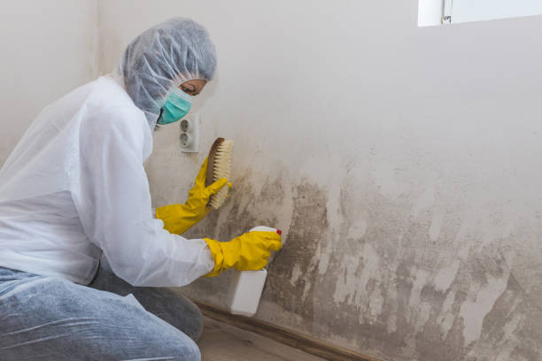 Mold Remediation for Rental Properties in Arcadia, IN