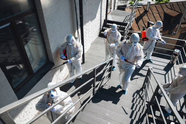 Best Mold Damage Restoration  in Arcadia, IN