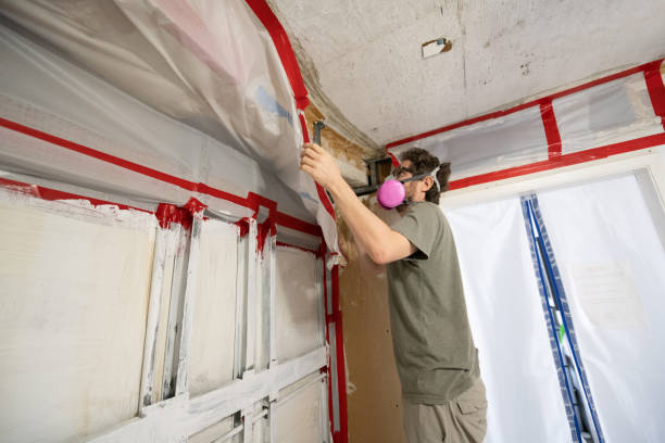 Best HVAC Mold Inspection and Cleaning  in Arcadia, IN