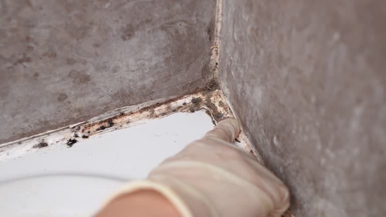 Best Indoor Air Quality Assessment  in Arcadia, IN